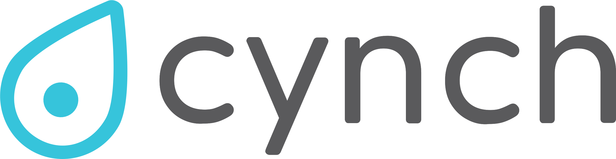 Cynch_Logo_-_Full.png